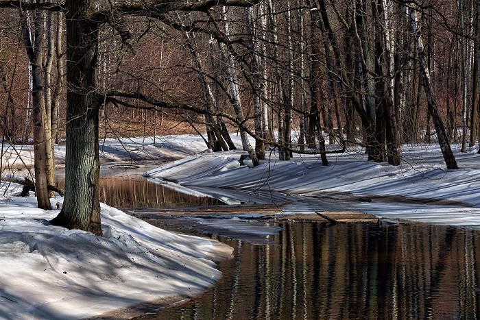 Картинка весенние воды тютчев